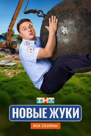Жуки постер
